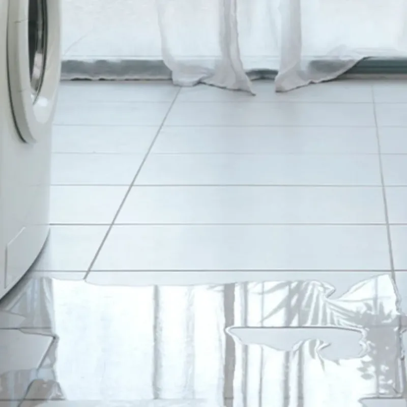 Appliance Leak Cleanup in Belleair Beach, FL